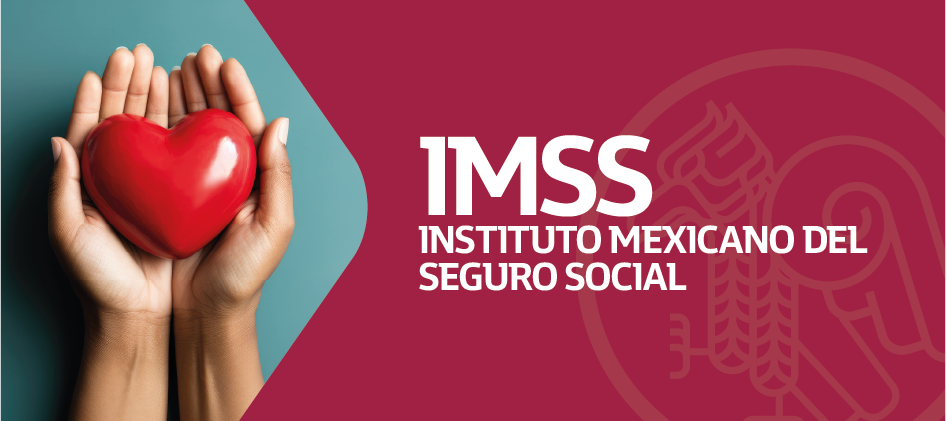 Seguro Social IMSS